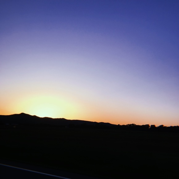 Meet your Posher, Chloe - Picture 1 of 1